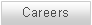 Text Box: Careers