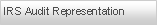 Text Box: IRS Audit Representation