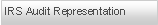 Text Box: IRS Audit Representation