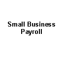 Text Box: Small Business Payroll