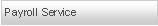 Text Box: Payroll Service