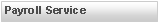 Text Box: Payroll Service