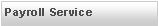 Text Box: Payroll Service