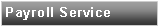 Text Box: Payroll Service
