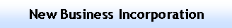Text Box: New Business Set-up