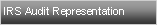 Text Box: IRS Audit Representation