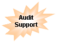 Explosion 2: Audit Support