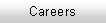 Text Box: Careers