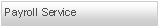 Text Box: Payroll Service