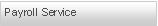 Text Box: Payroll Service