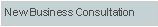 Text Box: New Business Consultation 