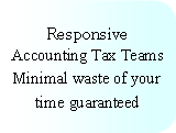 Rounded Rectangle: Responsive Accounting Tax TeamsMinimal waste of your time guaranteed