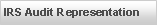 Text Box: IRS Audit Representation