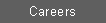 Text Box: Careers