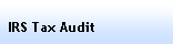 Text Box: IRS Audit 