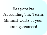 Rounded Rectangle: Responsive
Accounting Tax Teams
Minimal waste of your time guaranteed